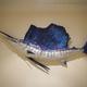 Sail-fish *SOLD*