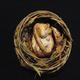 Dormouse in nest *SOLD*