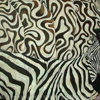 dazzle donkey