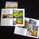 Cheshire Life August…