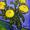 Yellow Chrysanthemums.