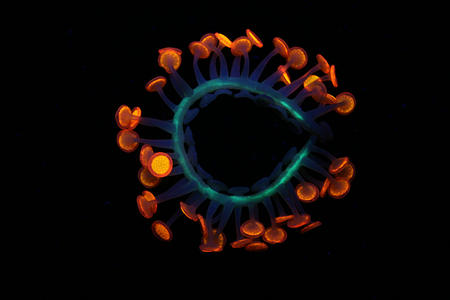 Lumini neckpiece- showing phosphorescent pigment