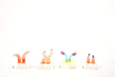 Silicone Earrings