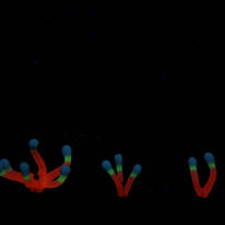 ring set (showing phosphorescent pigment)