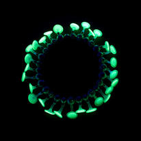 Lumini necklace- green, glowing