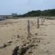 New Grimsby Harbour,… | | | New Grimsby Harbour,…