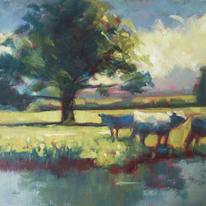 Cows by the River