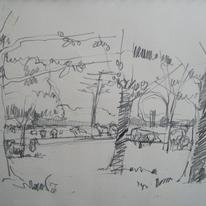 Firle, sheep