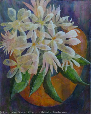 Flora : The Orange Pot