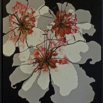 Flora - Lilies II