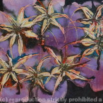 Fireflowers