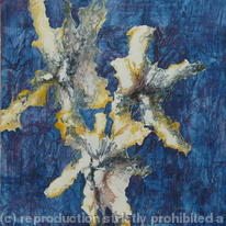 Flora : Midnight Lilies