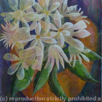 Flora : The Orange Pot