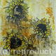 Summer Sunflowers