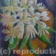 Flora : The Orange Pot