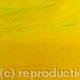 Fields of Yellow