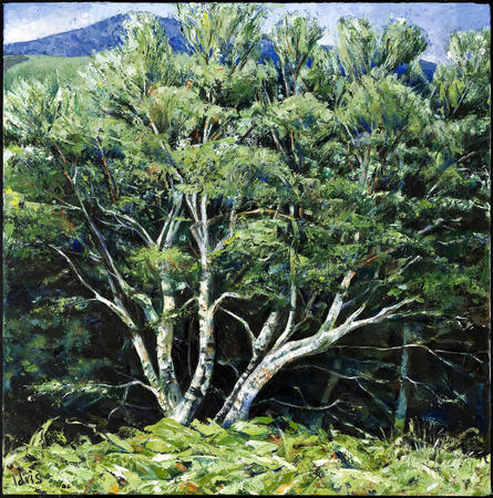 Summer birch, Glen Sannox