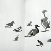 Finsbury Park fowl 2