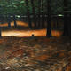 Woodland