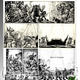 Orks comic page