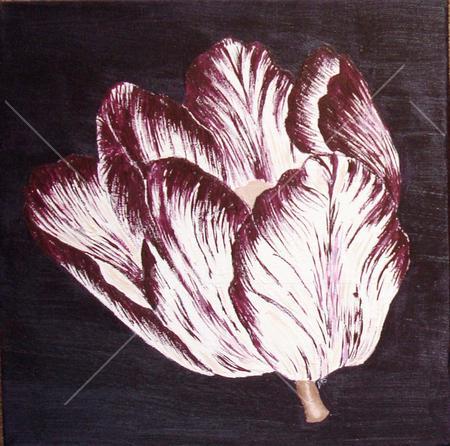 Aubergine Tulip 1