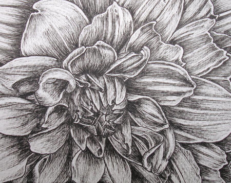 B/W Dahlia Flower 1
