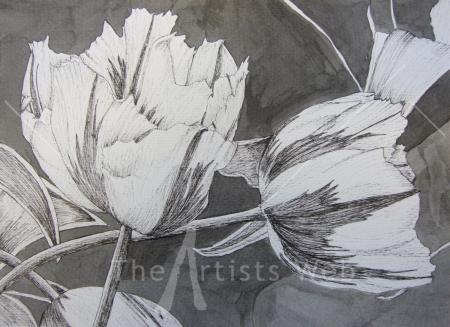 Tulipmania 3 - Pen and Ink