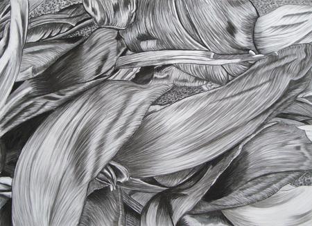 Tulipmania 4 - Charcoal and Chalk