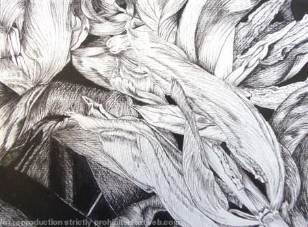 Tulipmania 6 - Pen