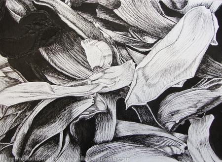 Tulipmania 10 - Pen