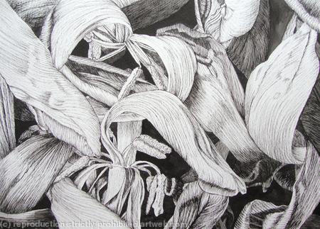 Tulipmania 17 Pen