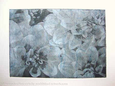 Dahlia 2 lt blue
