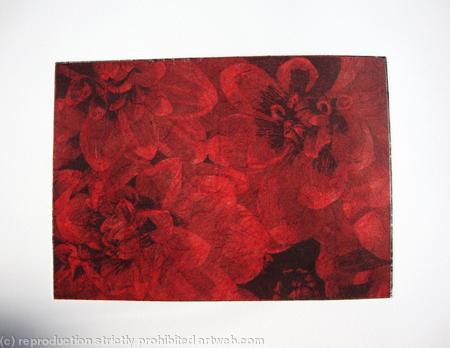 Dahlia 2 red