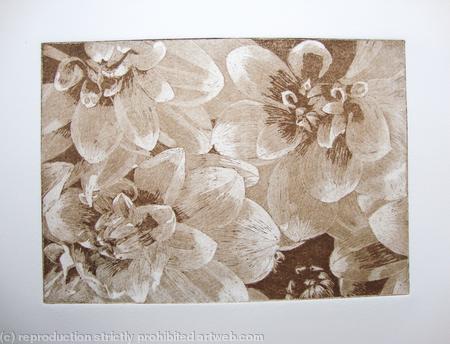 Dahlia 2 sepia