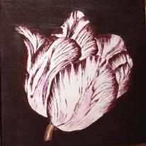 Aubergine Tulip 2