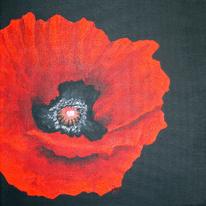 Red Poppy Black Background