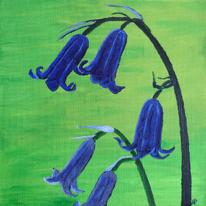 Bluebells