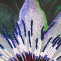 Passion Flower