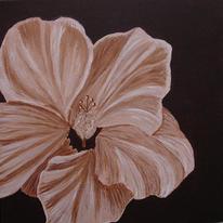 Chocolate Hibiscus