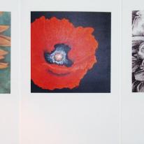 Flower Greetings Cards Set 2- Pack of 3