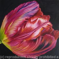 Large Red Tulip1