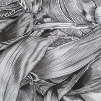 Tulipmania 4 - Charcoal and Chalk