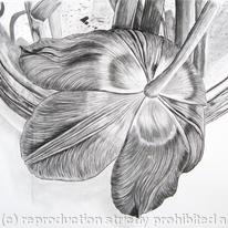 Tulipmania 2 - Charcoal