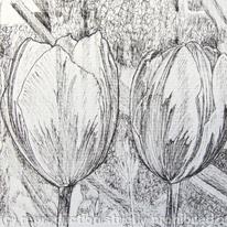 Tulipmania 99 - Pen