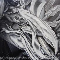 Tulipmania 6 - Black and White