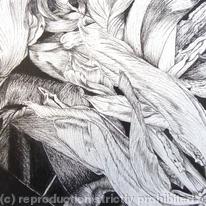 Tulipmania 6 - Pen