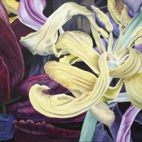 Tulipmania 11 - Colour