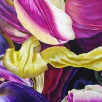 Tulipmania 12 - Colour