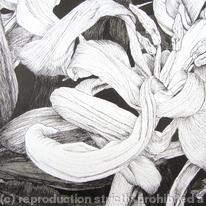 Tulipmania 11 - Pen