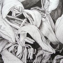 Tulipmania 17 Pen